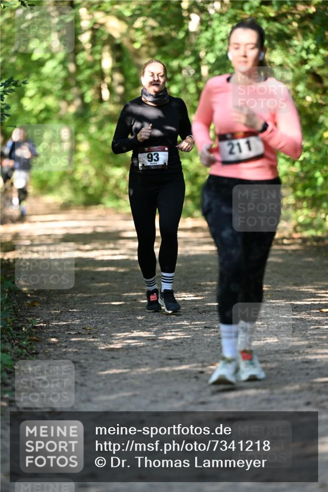06.10.2024 - Bramfelder Halbmarathon 2024 Dr. Thomas Lammeyer http://msf.ph/oto/7341218 06.10.2024 10:48:29 Laufen 93, 211 meine-sportfotos.de