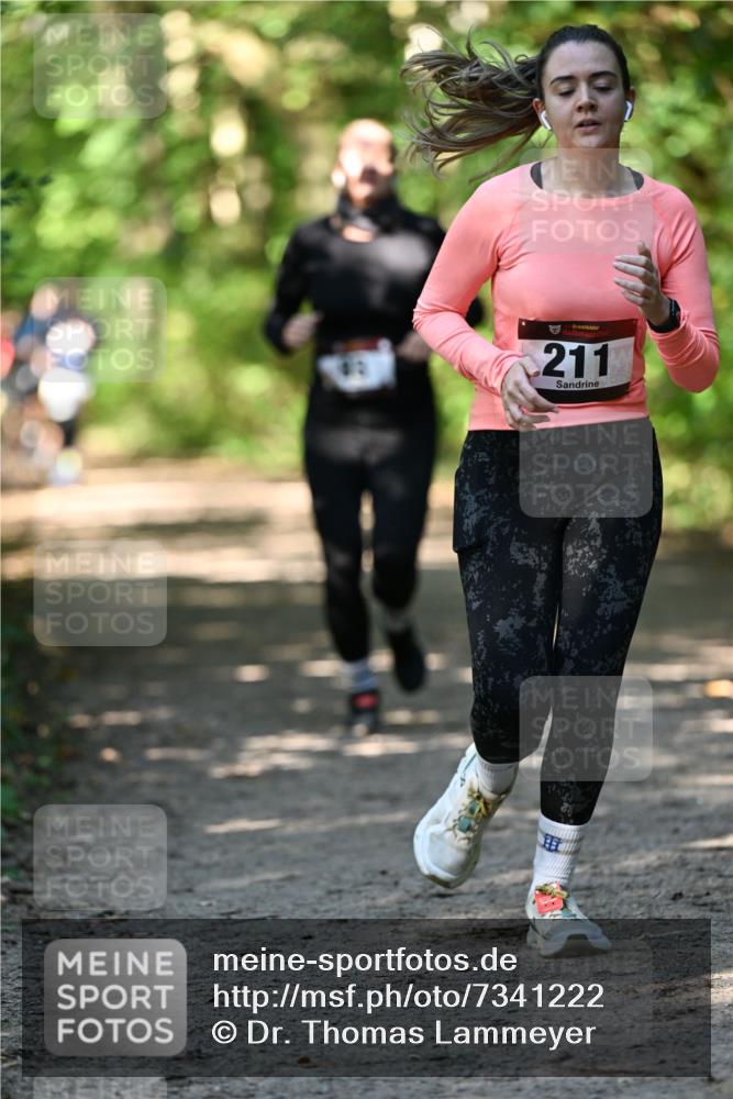06.10.2024 - Bramfelder Halbmarathon 2024 Dr. Thomas Lammeyer http://msf.ph/oto/7341222 06.10.2024 10:48:29 Laufen 211 meine-sportfotos.de
