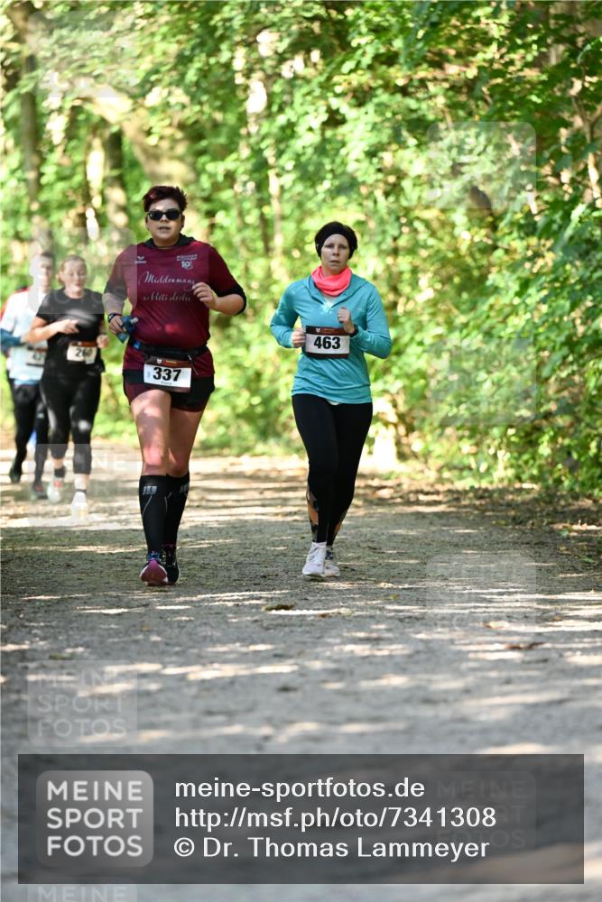 06.10.2024 - Bramfelder Halbmarathon 2024 Dr. Thomas Lammeyer http://msf.ph/oto/7341308 06.10.2024 10:48:54 Laufen 19, 260, 337, 463 meine-sportfotos.de