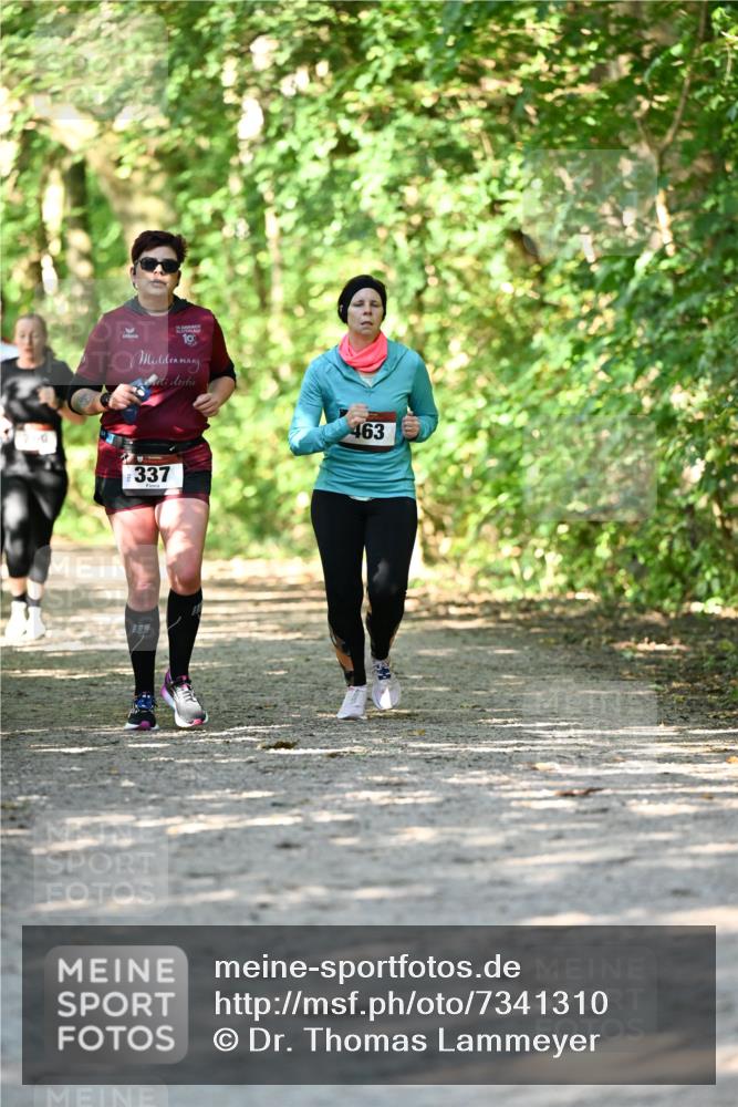 06.10.2024 - Bramfelder Halbmarathon 2024 Dr. Thomas Lammeyer http://msf.ph/oto/7341310 06.10.2024 10:48:55 Laufen 10, 337, 463 meine-sportfotos.de