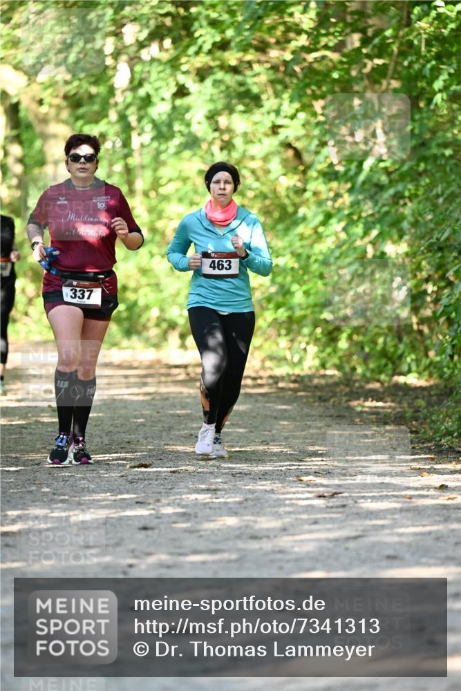 06.10.2024 - Bramfelder Halbmarathon 2024 Dr. Thomas Lammeyer http://msf.ph/oto/7341313 06.10.2024 10:48:55 Laufen 10, 337, 463 meine-sportfotos.de