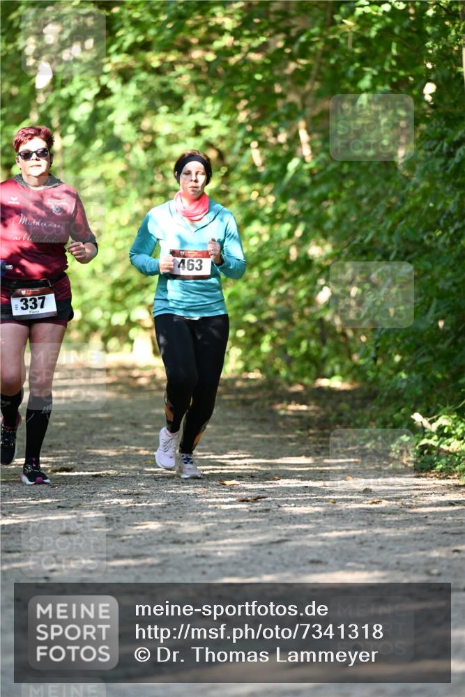 06.10.2024 - Bramfelder Halbmarathon 2024 Dr. Thomas Lammeyer http://msf.ph/oto/7341318 06.10.2024 10:48:56 Laufen 463, 337 meine-sportfotos.de