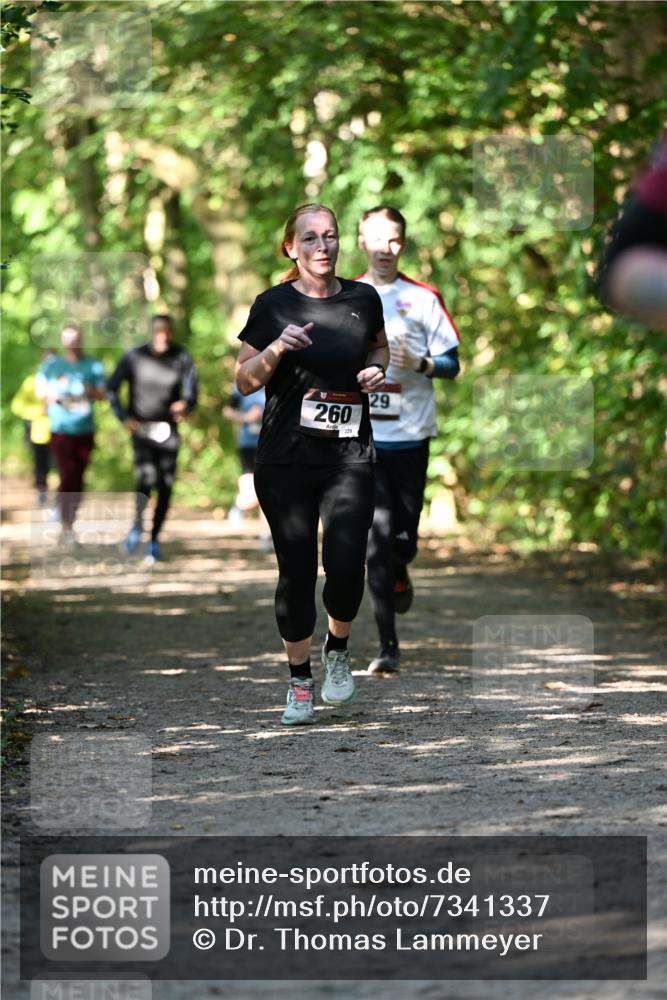06.10.2024 - Bramfelder Halbmarathon 2024 Dr. Thomas Lammeyer http://msf.ph/oto/7341337 06.10.2024 10:49:00 Laufen 260, 229, 29 meine-sportfotos.de