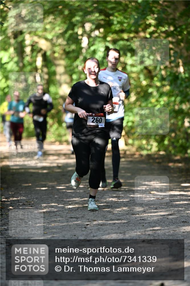 06.10.2024 - Bramfelder Halbmarathon 2024 Dr. Thomas Lammeyer http://msf.ph/oto/7341339 06.10.2024 10:49:00 Laufen 260, 229 meine-sportfotos.de