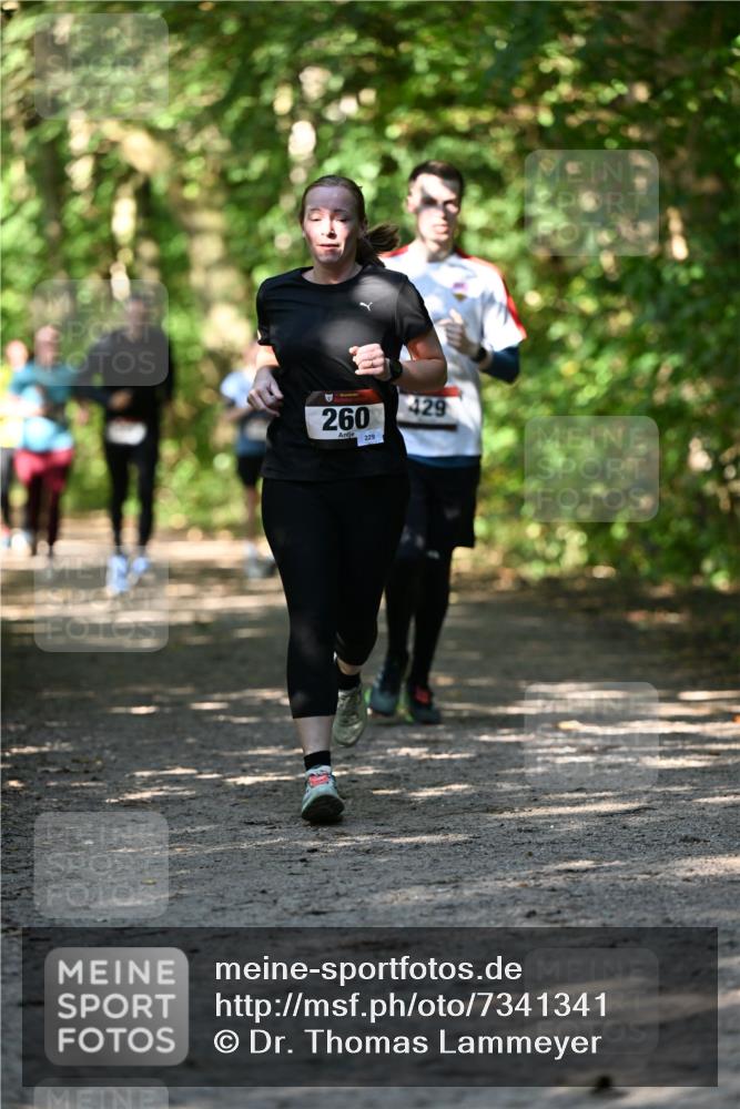 06.10.2024 - Bramfelder Halbmarathon 2024 Dr. Thomas Lammeyer http://msf.ph/oto/7341341 06.10.2024 10:49:01 Laufen 260, 229, 429 meine-sportfotos.de