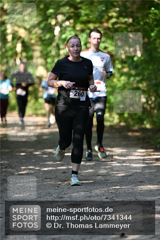 06.10.2024 - Bramfelder Halbmarathon 2024 Dr. Thomas Lammeyer http://msf.ph/oto/7341344 06.10.2024 10:49:01 Laufen 260, 229 meine-sportfotos.de