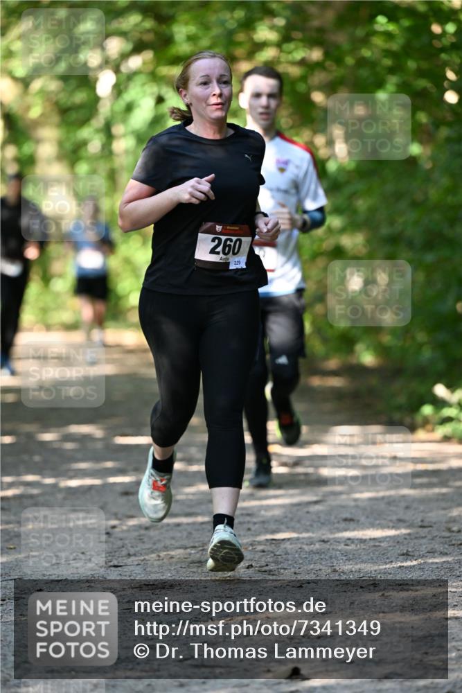 06.10.2024 - Bramfelder Halbmarathon 2024 Dr. Thomas Lammeyer http://msf.ph/oto/7341349 06.10.2024 10:49:02 Laufen 260, 229 meine-sportfotos.de