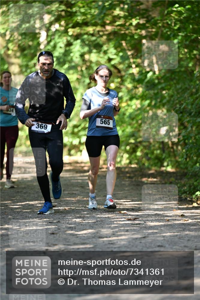 06.10.2024 - Bramfelder Halbmarathon 2024 Dr. Thomas Lammeyer http://msf.ph/oto/7341361 06.10.2024 10:49:06 Laufen 369, 565 meine-sportfotos.de