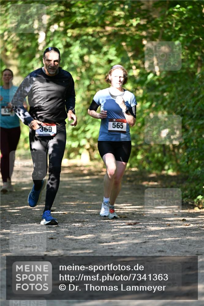 06.10.2024 - Bramfelder Halbmarathon 2024 Dr. Thomas Lammeyer http://msf.ph/oto/7341363 06.10.2024 10:49:06 Laufen 534, 369, 565 meine-sportfotos.de