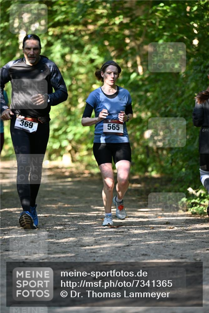 06.10.2024 - Bramfelder Halbmarathon 2024 Dr. Thomas Lammeyer http://msf.ph/oto/7341365 06.10.2024 10:49:06 Laufen 369, 565 meine-sportfotos.de