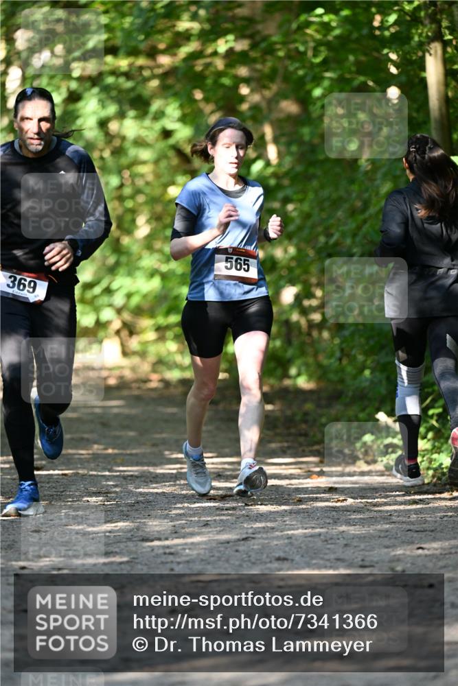 06.10.2024 - Bramfelder Halbmarathon 2024 Dr. Thomas Lammeyer http://msf.ph/oto/7341366 06.10.2024 10:49:06 Laufen 369, 6, 565 meine-sportfotos.de