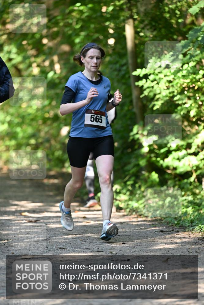 06.10.2024 - Bramfelder Halbmarathon 2024 Dr. Thomas Lammeyer http://msf.ph/oto/7341371 06.10.2024 10:49:07 Laufen 565 meine-sportfotos.de