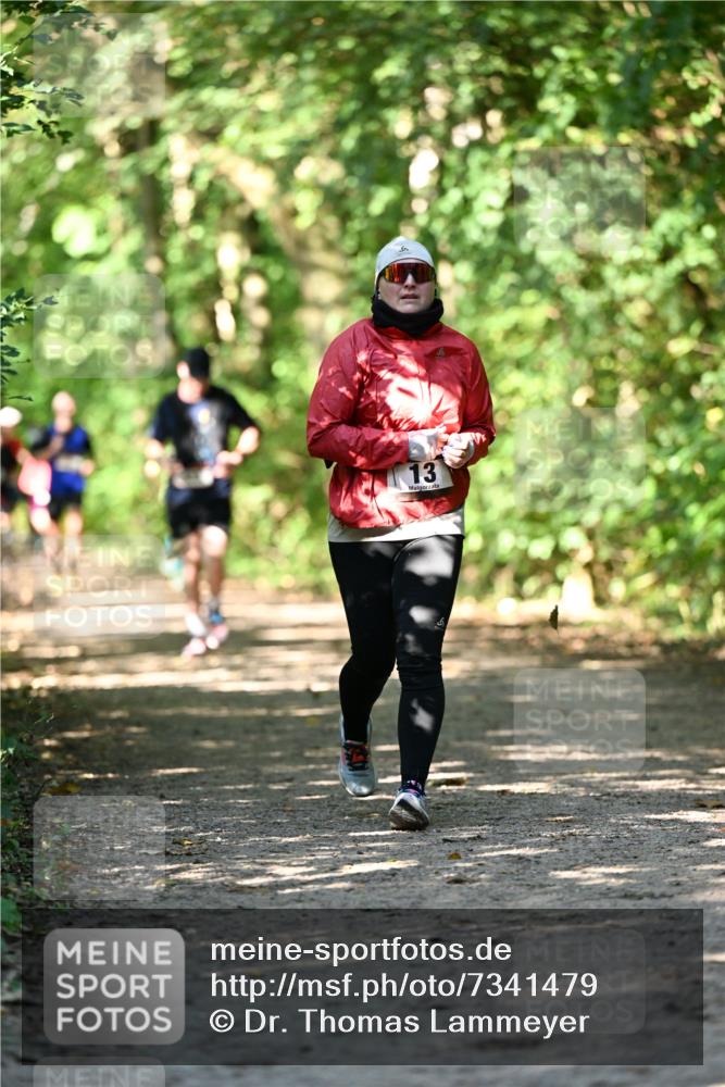 06.10.2024 - Bramfelder Halbmarathon 2024 Dr. Thomas Lammeyer http://msf.ph/oto/7341479 06.10.2024 10:49:44 Laufen 13 meine-sportfotos.de