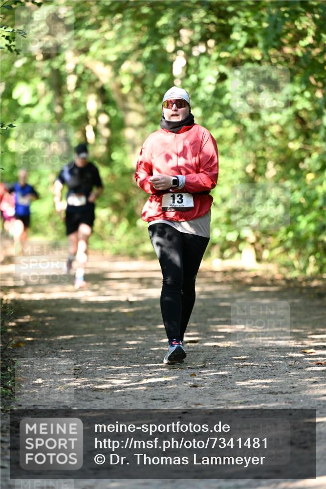 06.10.2024 - Bramfelder Halbmarathon 2024 Dr. Thomas Lammeyer http://msf.ph/oto/7341481 06.10.2024 10:49:44 Laufen 13 meine-sportfotos.de