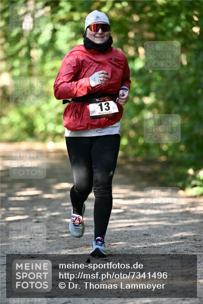 06.10.2024 - Bramfelder Halbmarathon 2024 Dr. Thomas Lammeyer http://msf.ph/oto/7341496 06.10.2024 10:49:46 Laufen 13, 6 meine-sportfotos.de