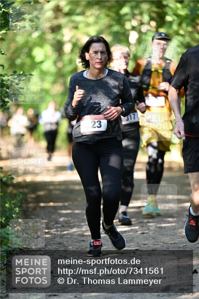 06.10.2024 - Bramfelder Halbmarathon 2024 Dr. Thomas Lammeyer http://msf.ph/oto/7341561 06.10.2024 10:50:04 Laufen 523, 317 meine-sportfotos.de