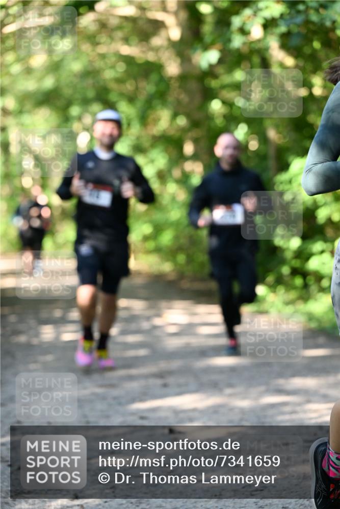 06.10.2024 - Bramfelder Halbmarathon 2024 Dr. Thomas Lammeyer http://msf.ph/oto/7341659 06.10.2024 10:50:27 Laufen  meine-sportfotos.de