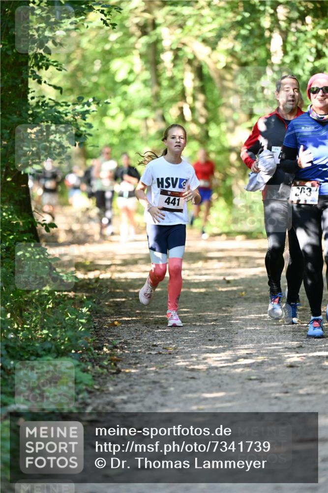 06.10.2024 - Bramfelder Halbmarathon 2024 Dr. Thomas Lammeyer http://msf.ph/oto/7341739 06.10.2024 10:50:51 Laufen 441, 214, 203, 201 meine-sportfotos.de