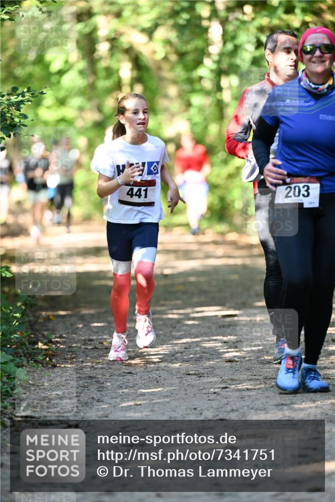 06.10.2024 - Bramfelder Halbmarathon 2024 Dr. Thomas Lammeyer http://msf.ph/oto/7341751 06.10.2024 10:50:52 Laufen 441, 203, 201 meine-sportfotos.de