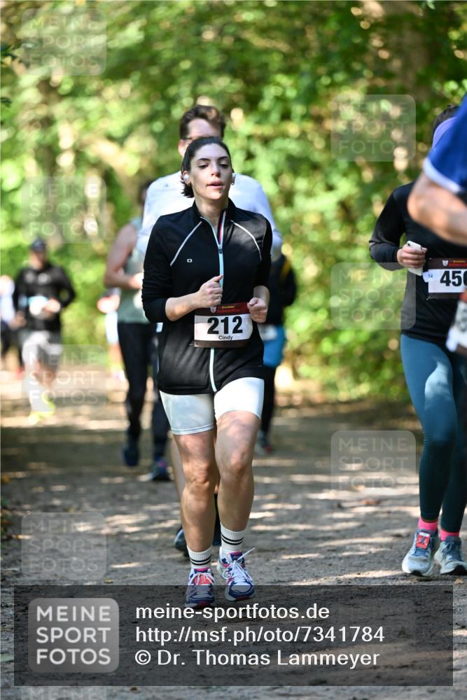 06.10.2024 - Bramfelder Halbmarathon 2024 Dr. Thomas Lammeyer http://msf.ph/oto/7341784 06.10.2024 10:51:05 Laufen 3, 2, 212, 14, 450 meine-sportfotos.de
