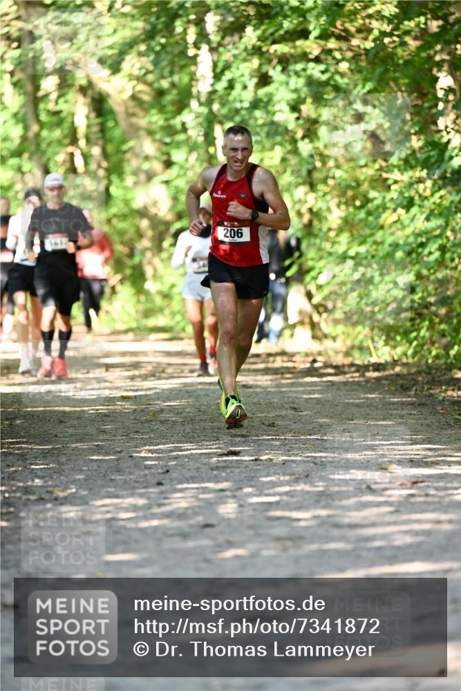 06.10.2024 - Bramfelder Halbmarathon 2024 Dr. Thomas Lammeyer http://msf.ph/oto/7341872 06.10.2024 10:51:29 Laufen 206 meine-sportfotos.de