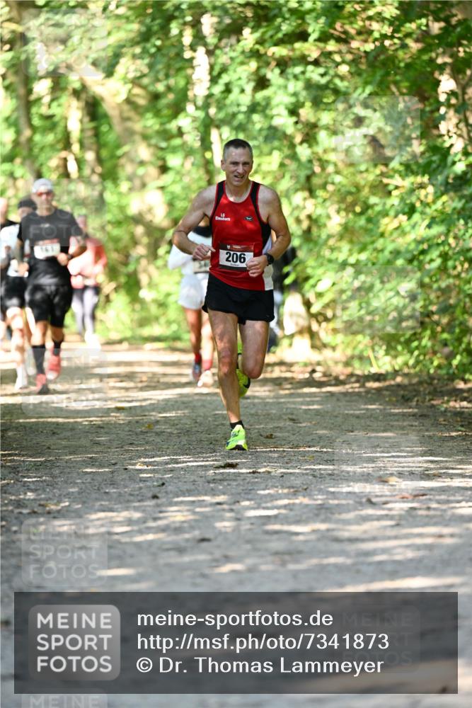 06.10.2024 - Bramfelder Halbmarathon 2024 Dr. Thomas Lammeyer http://msf.ph/oto/7341873 06.10.2024 10:51:29 Laufen 206 meine-sportfotos.de