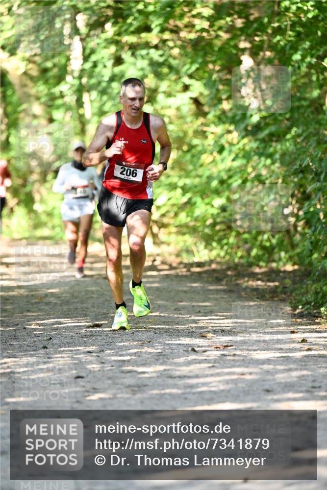 06.10.2024 - Bramfelder Halbmarathon 2024 Dr. Thomas Lammeyer http://msf.ph/oto/7341879 06.10.2024 10:51:30 Laufen 206 meine-sportfotos.de