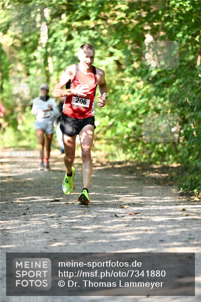 06.10.2024 - Bramfelder Halbmarathon 2024 Dr. Thomas Lammeyer http://msf.ph/oto/7341880 06.10.2024 10:51:30 Laufen 206 meine-sportfotos.de