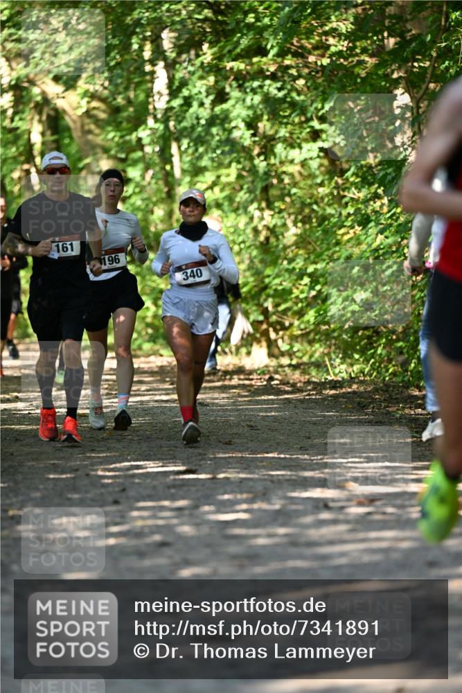 06.10.2024 - Bramfelder Halbmarathon 2024 Dr. Thomas Lammeyer http://msf.ph/oto/7341891 06.10.2024 10:51:32 Laufen 161, 196, 340 meine-sportfotos.de