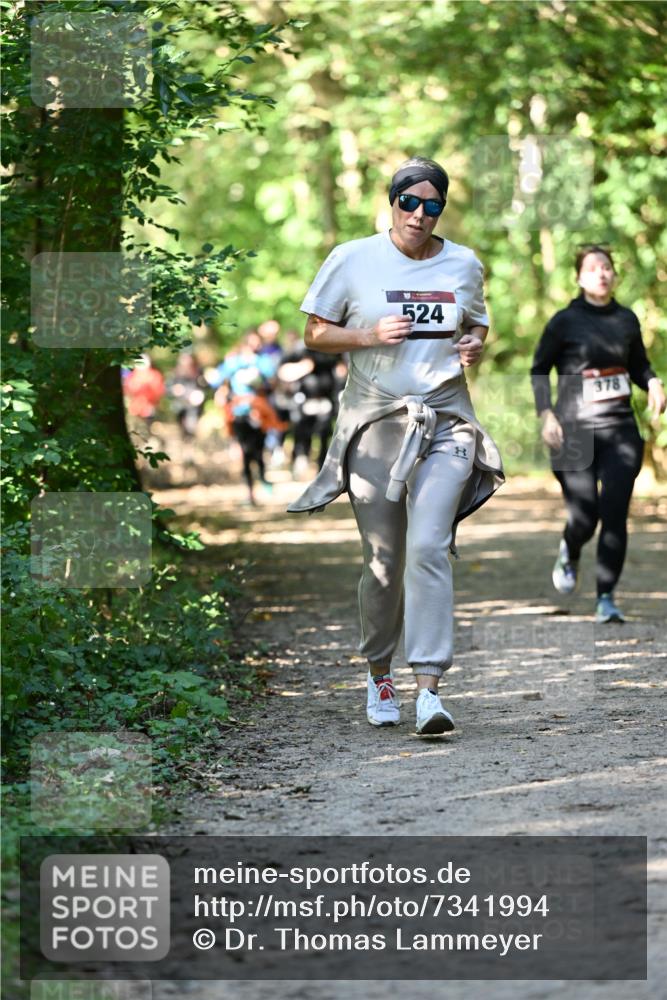 06.10.2024 - Bramfelder Halbmarathon 2024 Dr. Thomas Lammeyer http://msf.ph/oto/7341994 06.10.2024 10:52:07 Laufen 524, 378 meine-sportfotos.de
