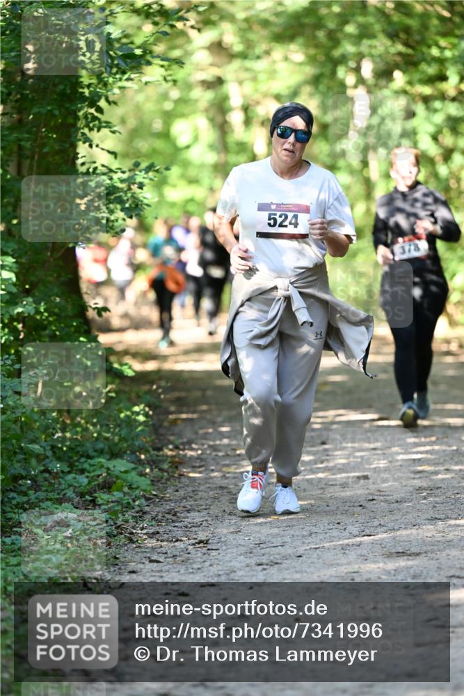 06.10.2024 - Bramfelder Halbmarathon 2024 Dr. Thomas Lammeyer http://msf.ph/oto/7341996 06.10.2024 10:52:08 Laufen 524, 378 meine-sportfotos.de