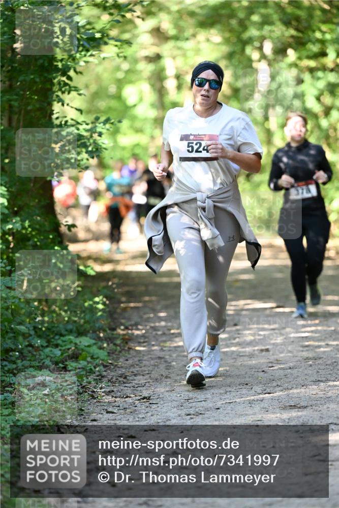 06.10.2024 - Bramfelder Halbmarathon 2024 Dr. Thomas Lammeyer http://msf.ph/oto/7341997 06.10.2024 10:52:08 Laufen 524, 374 meine-sportfotos.de