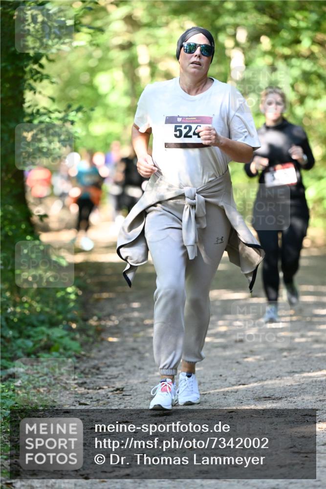 06.10.2024 - Bramfelder Halbmarathon 2024 Dr. Thomas Lammeyer http://msf.ph/oto/7342002 06.10.2024 10:52:08 Laufen 524 meine-sportfotos.de