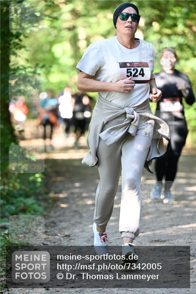 06.10.2024 - Bramfelder Halbmarathon 2024 Dr. Thomas Lammeyer http://msf.ph/oto/7342005 06.10.2024 10:52:09 Laufen 33, 524 meine-sportfotos.de
