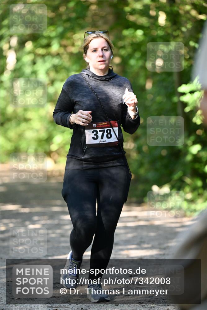 06.10.2024 - Bramfelder Halbmarathon 2024 Dr. Thomas Lammeyer http://msf.ph/oto/7342008 06.10.2024 10:52:11 Laufen 378 meine-sportfotos.de