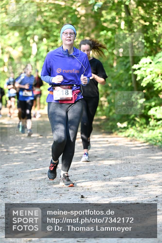 06.10.2024 - Bramfelder Halbmarathon 2024 Dr. Thomas Lammeyer http://msf.ph/oto/7342172 06.10.2024 10:52:42 Laufen 230, 318 meine-sportfotos.de