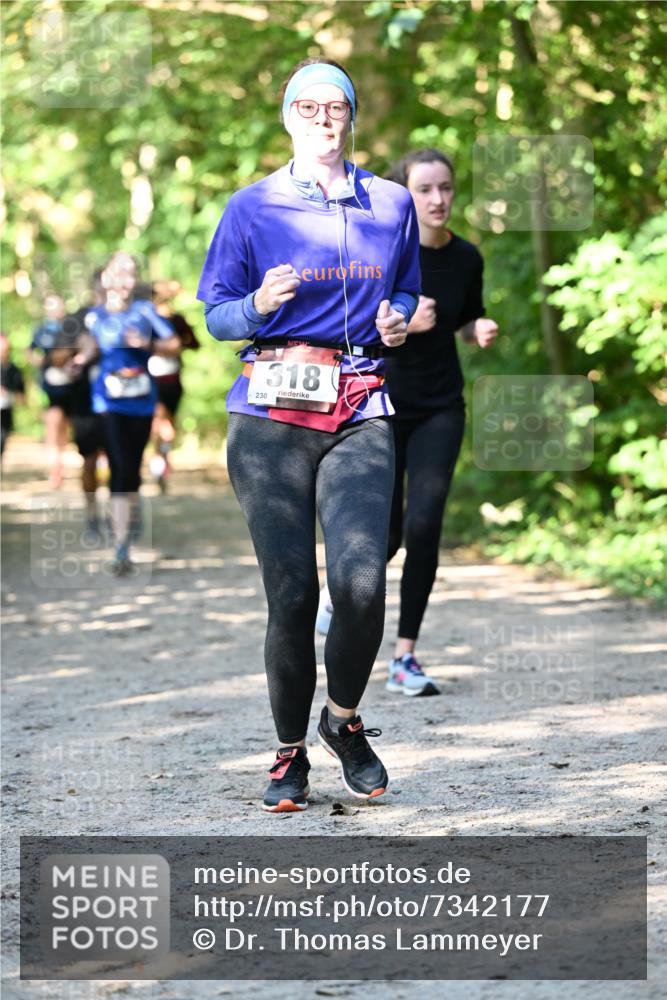 06.10.2024 - Bramfelder Halbmarathon 2024 Dr. Thomas Lammeyer http://msf.ph/oto/7342177 06.10.2024 10:52:42 Laufen 318, 230 meine-sportfotos.de