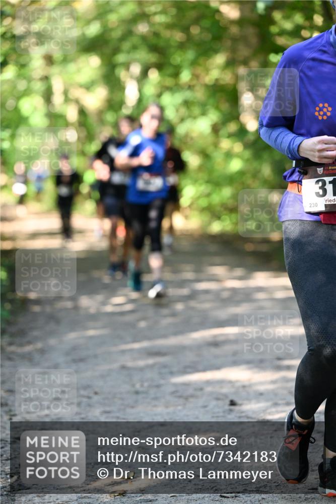06.10.2024 - Bramfelder Halbmarathon 2024 Dr. Thomas Lammeyer http://msf.ph/oto/7342183 06.10.2024 10:52:44 Laufen 3, 31, 230 meine-sportfotos.de