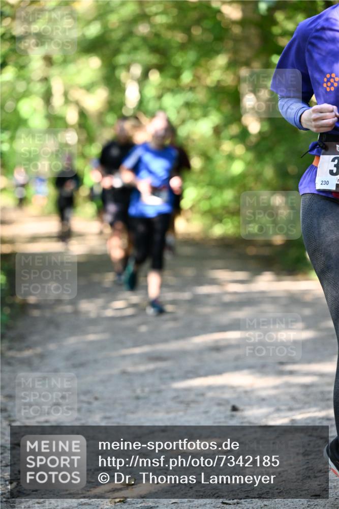 06.10.2024 - Bramfelder Halbmarathon 2024 Dr. Thomas Lammeyer http://msf.ph/oto/7342185 06.10.2024 10:52:44 Laufen 230, 3 meine-sportfotos.de