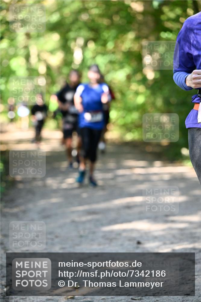 06.10.2024 - Bramfelder Halbmarathon 2024 Dr. Thomas Lammeyer http://msf.ph/oto/7342186 06.10.2024 10:52:44 Laufen  meine-sportfotos.de