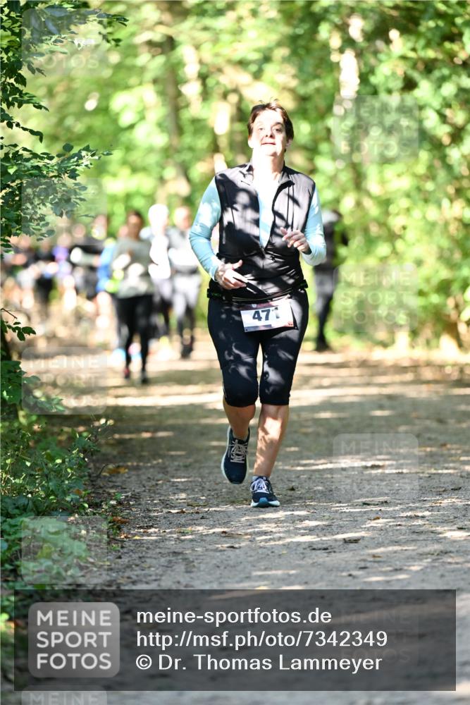 06.10.2024 - Bramfelder Halbmarathon 2024 Dr. Thomas Lammeyer http://msf.ph/oto/7342349 06.10.2024 10:53:03 Laufen 471 meine-sportfotos.de