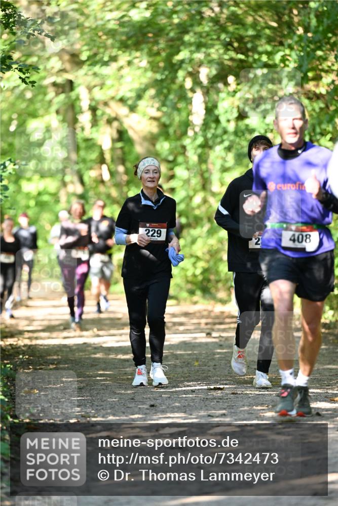 06.10.2024 - Bramfelder Halbmarathon 2024 Dr. Thomas Lammeyer http://msf.ph/oto/7342473 06.10.2024 10:53:22 Laufen 229, 2, 408 meine-sportfotos.de