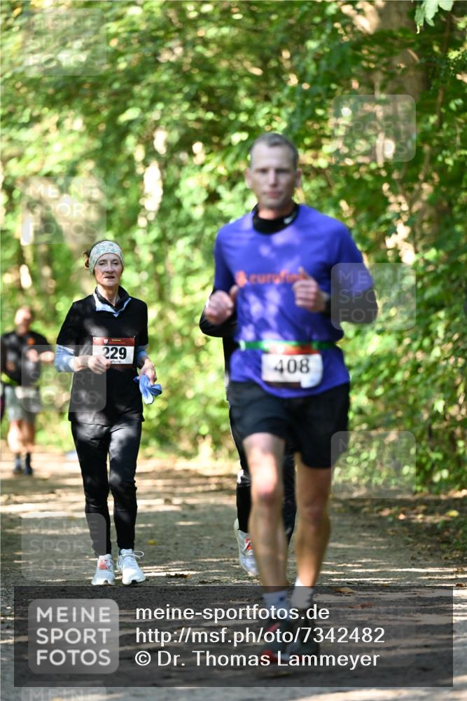 06.10.2024 - Bramfelder Halbmarathon 2024 Dr. Thomas Lammeyer http://msf.ph/oto/7342482 06.10.2024 10:53:23 Laufen 229, 408 meine-sportfotos.de