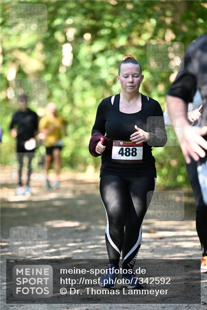 06.10.2024 - Bramfelder Halbmarathon 2024 Dr. Thomas Lammeyer http://msf.ph/oto/7342592 06.10.2024 10:53:37 Laufen 33, 488 meine-sportfotos.de