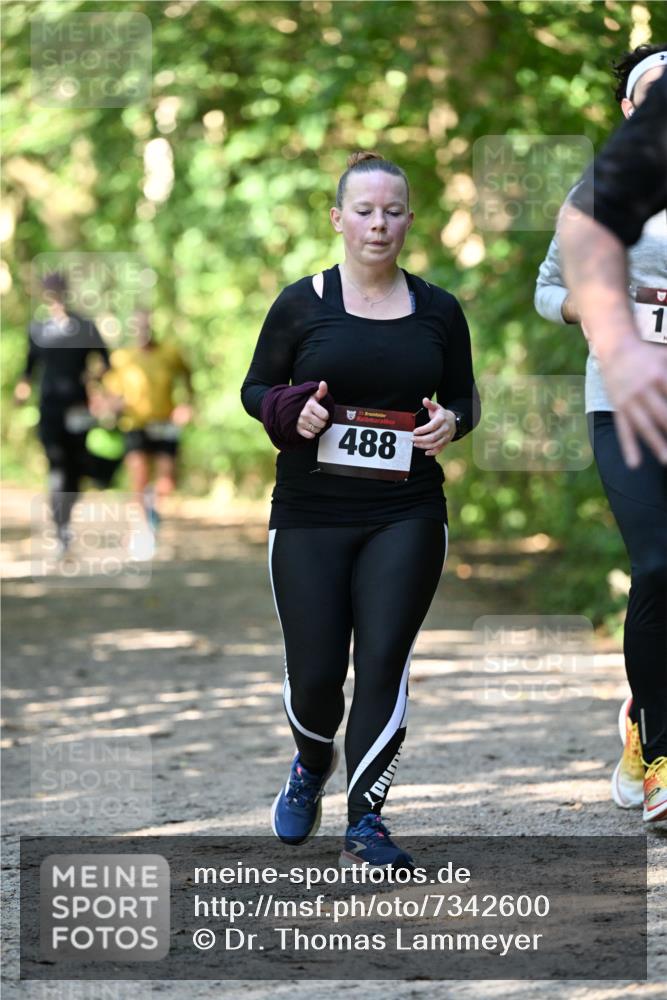 06.10.2024 - Bramfelder Halbmarathon 2024 Dr. Thomas Lammeyer http://msf.ph/oto/7342600 06.10.2024 10:53:38 Laufen 33, 488, 1 meine-sportfotos.de