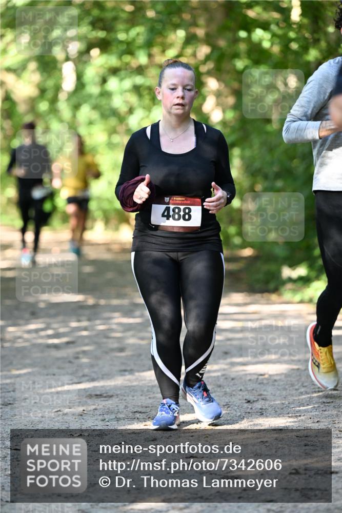 06.10.2024 - Bramfelder Halbmarathon 2024 Dr. Thomas Lammeyer http://msf.ph/oto/7342606 06.10.2024 10:53:38 Laufen 488 meine-sportfotos.de