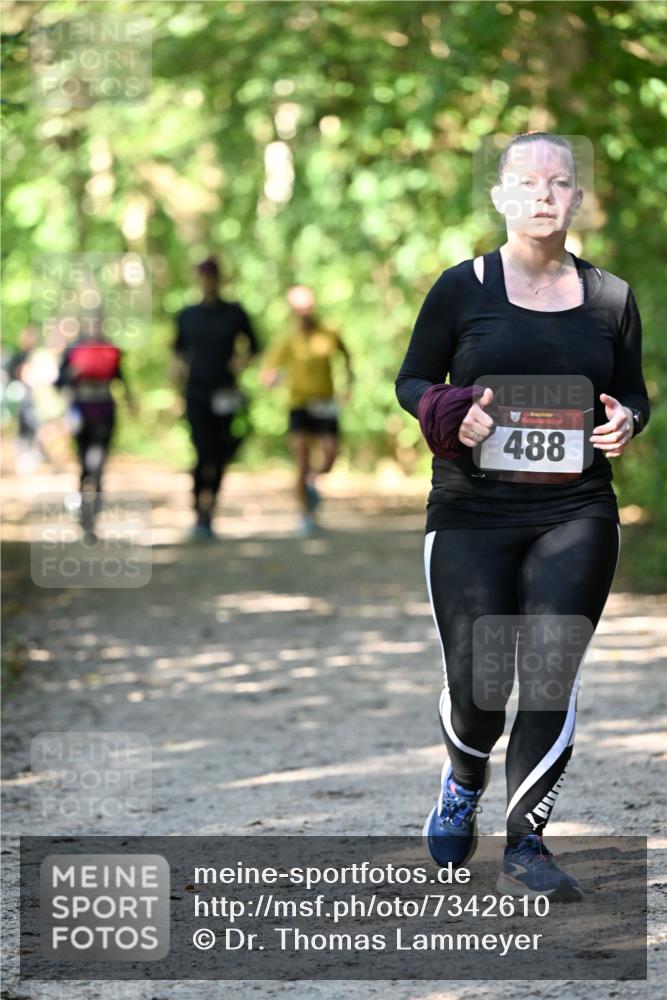 06.10.2024 - Bramfelder Halbmarathon 2024 Dr. Thomas Lammeyer http://msf.ph/oto/7342610 06.10.2024 10:53:39 Laufen 6, 488 meine-sportfotos.de