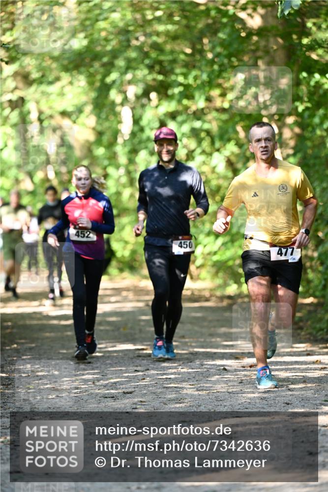 06.10.2024 - Bramfelder Halbmarathon 2024 Dr. Thomas Lammeyer http://msf.ph/oto/7342636 06.10.2024 10:53:42 Laufen 452, 450, 477, 26 meine-sportfotos.de