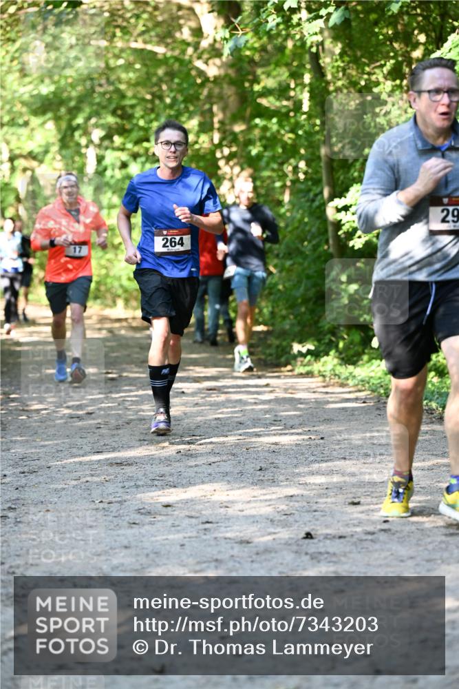 06.10.2024 - Bramfelder Halbmarathon 2024 Dr. Thomas Lammeyer http://msf.ph/oto/7343203 06.10.2024 10:54:55 Laufen 264, 29 meine-sportfotos.de