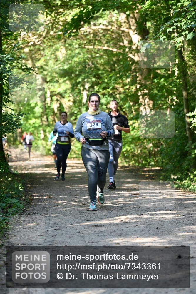 06.10.2024 - Bramfelder Halbmarathon 2024 Dr. Thomas Lammeyer http://msf.ph/oto/7343361 06.10.2024 10:55:59 Laufen 329 meine-sportfotos.de